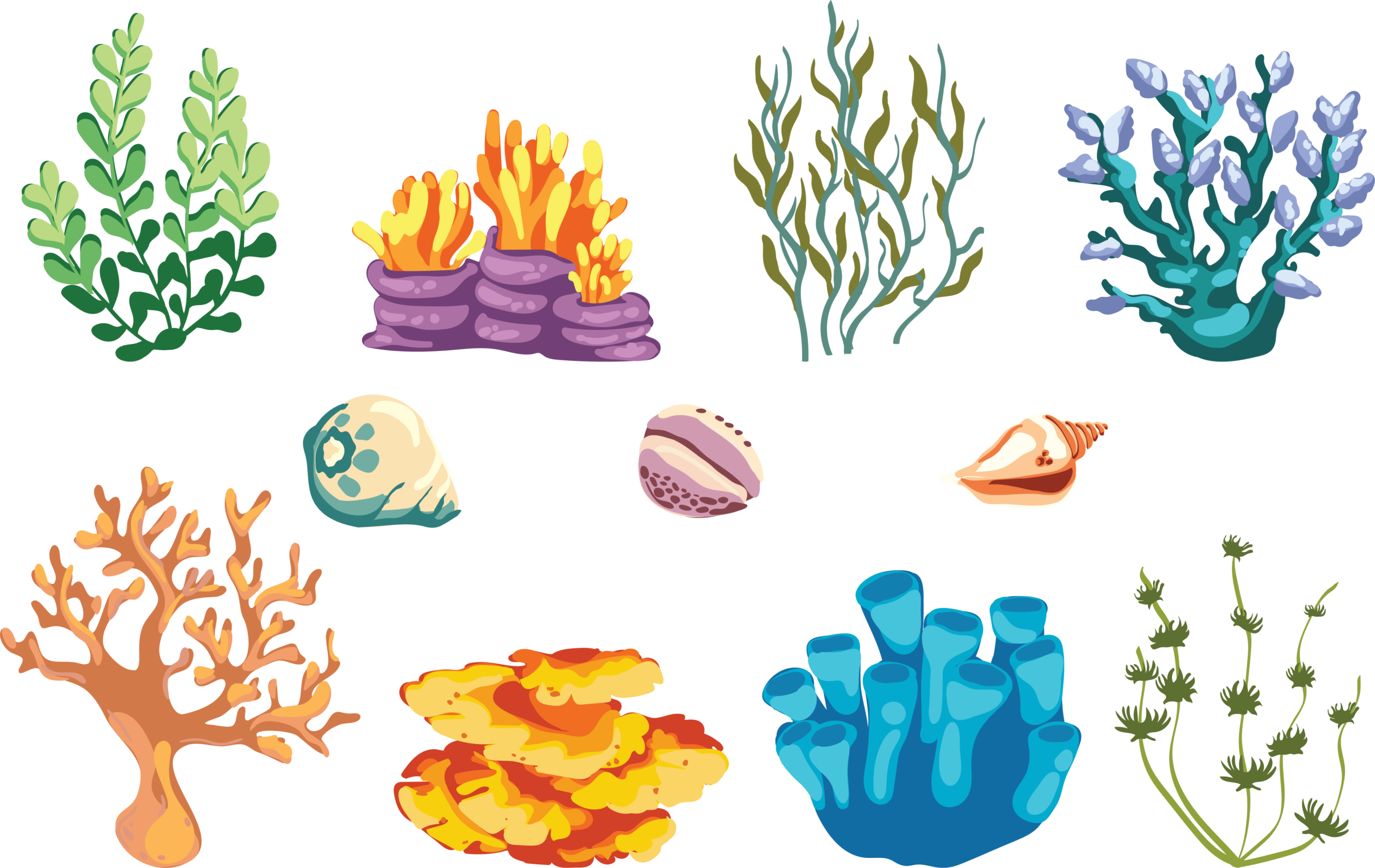 Illustrations