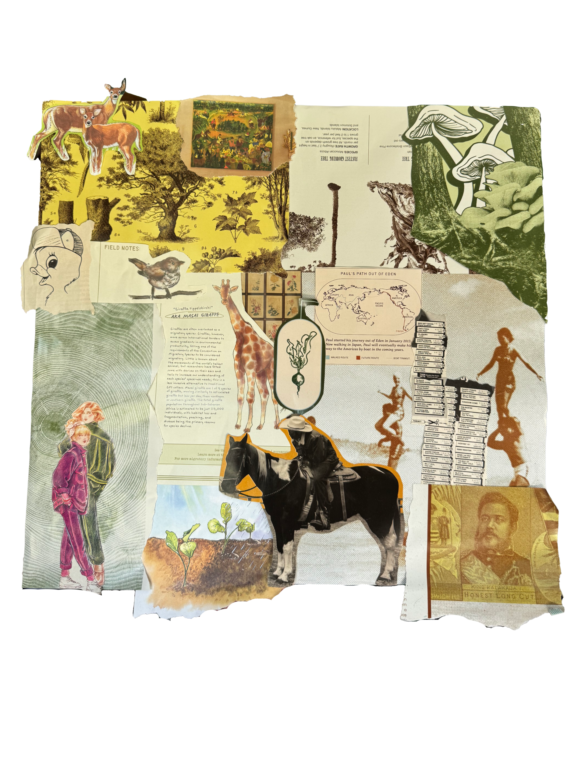 YellowCollage